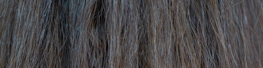 Shop by concern - Dry, Itchy, Flaky scalp